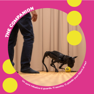 The Companion